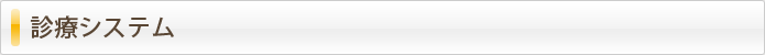 診療システム