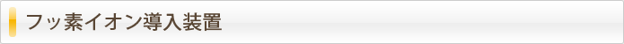 フッ素イオン導入装置