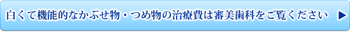 白くて機能的なかぶせ物・つめ物の治療費は審美歯科をご覧ください