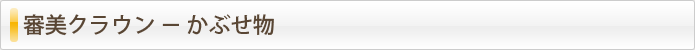 審美クラウン － かぶせ物