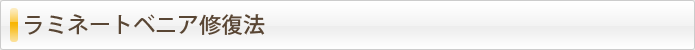 ラミネートベニア修復法