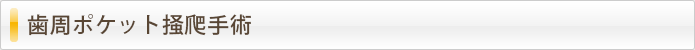 歯周ポケット掻爬(そうは)術