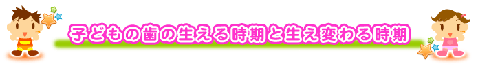 子どもの歯の生える時期と生え変わる時期