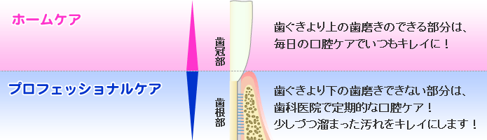 プロフェッショナルケアとホームケアの役割