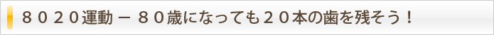 ８０２０運動 － ８０歳になっても２０本の歯を残そう！