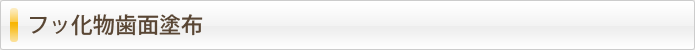 フッ化物歯面塗布