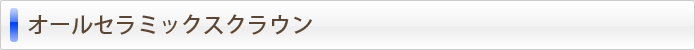 オールセラミックスクラウン