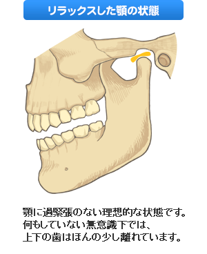 リラックスした顎の状態