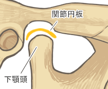 正常な顎関節